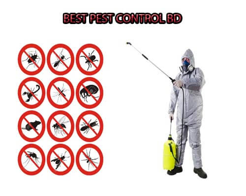 Pest Control BD